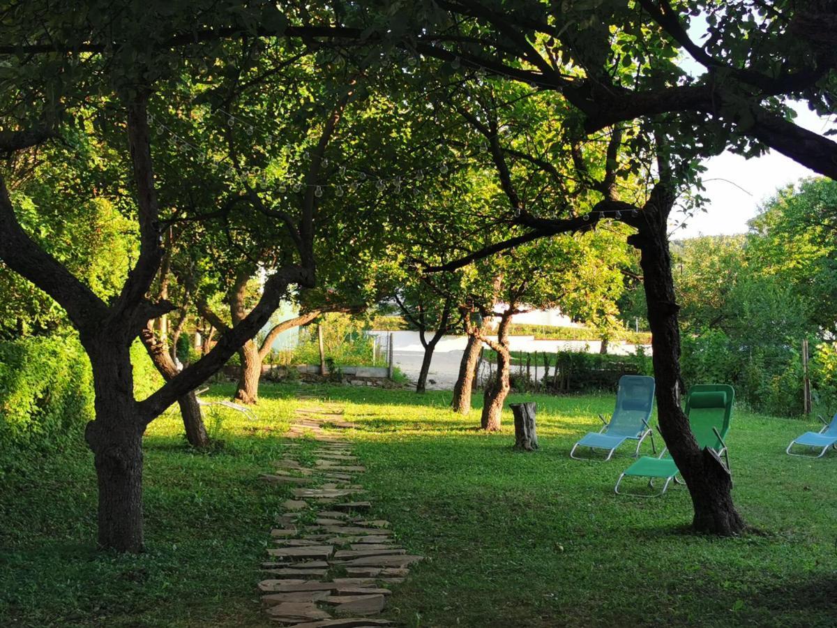Vila Breza Soko Banja Exterior foto